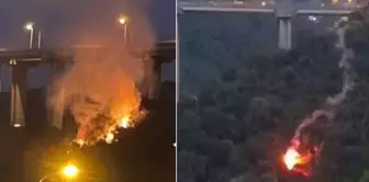 After the forest fire in Beykoz, the governor's office banned the sale of fireworks and torches.