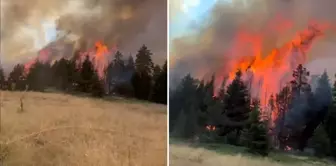 This time, flames have risen from Çankırı! They are spreading due to the wind's effect.
