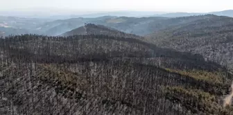 A painful scene in Bursa! The destruction left by the fire was captured from the air.