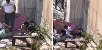 Citizens on edge! Shocking scenes in the heart of the district.