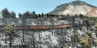 The current state of the district that has experienced the largest forest fire in its history: Words are not enough to describe this pain.
