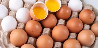 A new era in eggs: They will now be sold this way.
