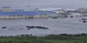 The first tsunami waves reached two countries after the 8.8 magnitude earthquake! Here are those moments.