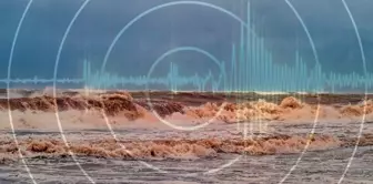 24-hour warning after the 8.8 magnitude mega earthquake! The tsunami wave is moving at a speed of 700 km/h.