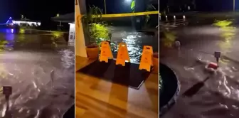After the mega earthquake, tsunami waves have reached Hawaii! Here are the first images.