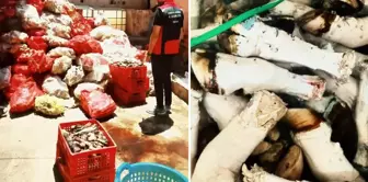 In our province, which has been brought to the forefront due to the use of horse and donkey meat, another scandal has emerged.