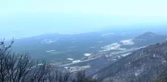 After the forest fires in Bursa, 'air pollution' alarm: Complaints increased by 30%.