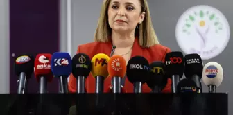 DEM Party: The name of the commission should be decided by consensus.