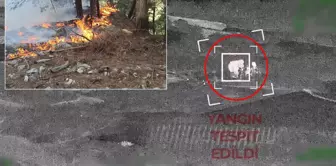 The arsonists were caught on drone footage like this.