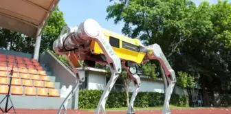 A Chinese robot set a record by running 100 meters in 16.33 seconds.