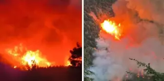 Turkey's lungs are burning! Forest fires have broken out in Hatay and Mersin.