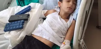 The specialist sergeant who caused the child to break their wrist by pushing them off the bicycle has been taken into custody.