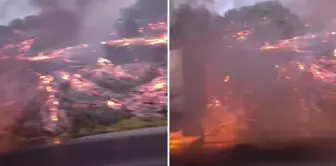A fire that broke out in a vehicle on the highway spread to the forested area.