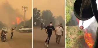 5 ولايات في حرائق الغابات! النيران وصلت إلى المناطق السكنية.