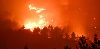 В Мерсине 15 тысяч дунумов лесной площади сгорели из-за рабочих.