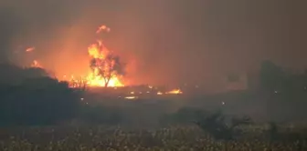 The forest fire that broke out in Çanakkale has grown! 5 villages have been evacuated.