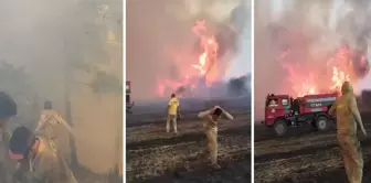 The difficult struggle of the fire fighters in Çanakkale is captured on camera! They were trapped inside the ring of fire.