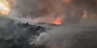 Fire in Çanakkale! Flames spread from Gelibolu to Eceabat, 6 villages evacuated.