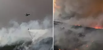 Çanakkale is burning! The Historical Area has been closed, and the number of evacuated villages has risen to 7.