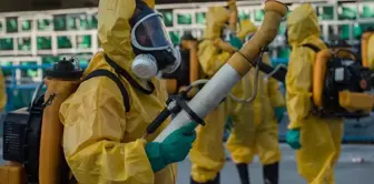 The Chikungunya virus is spreading rapidly! Over 240,000 cases and 90 deaths in 16 countries.