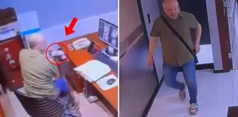 The accountant said, 