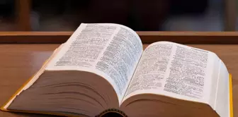 New words have been added to the dictionary: Skibidi, delulu, tradwife.