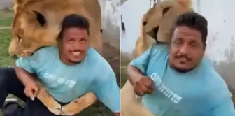 The farm owner set his trained lion on his employee.
