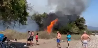 Forest fire in Fethiye.