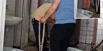 Это не Индия, это Турция! В туалете готовят кокореч.