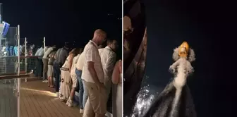 Chaos on the cruise ship: Teams are searching for the person who fell into the sea.