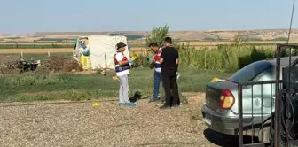 The families' fight turned the area into a battlefield: 2 dead, 13 detained.