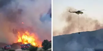 A fire that broke out in the field in Balıkesir spread to the forested area.