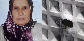 The tragic end of the old woman! The argument 