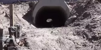 They built a special underpass for frogs to mate comfortably.