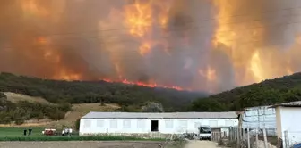 Forest fire in Bursa: Flames advanced towards residential areas, announcements were made from the region.