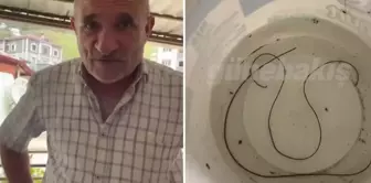 The citizen who saw the object emerging from the water was astonished: 