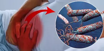 Cholera alert in 31 countries! Deaths are rapidly increasing every hour.