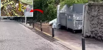 A burned baby corpse was found in the trash in Istanbul.