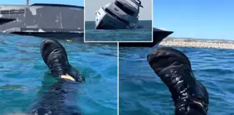 A 45 million yacht sank in 15 minutes, and the person who jumped into the water to save himself started cursing.