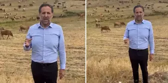 The deputy, with a herd of animals behind him, called out to Minister Yumaklı: 