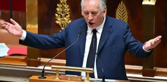 In France, Prime Minister François Bayrou's government has fallen.