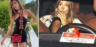 Night outing with an official vehicle! The ministry clarified the vehicle that Şevval Şahin was in.