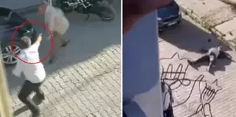 The former HDP district chairman was killed like this: The moments of horror captured on camera.