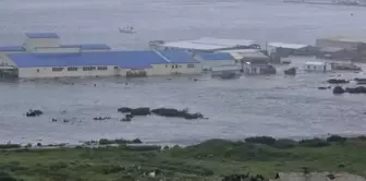 A 7.4 magnitude earthquake occurred in Russia's Kamchatka region, and a tsunami warning has been issued.