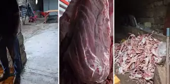 When it comes to meat, a scandal in the city! 1.5 tons of meat were destroyed.