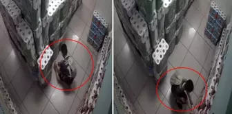 The image is from Turkey, and it was created by a 10-year-old child.