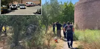 The identity of the body found beneath the historical walls has been revealed.