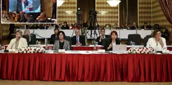 Prof. Dr. Havva Kök Aslan's remarks about 
