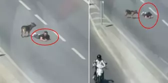 He crawled along the right lane of the main road.