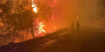 Antalya and Muğla are experiencing a nightmare! Flames have reached residential areas.